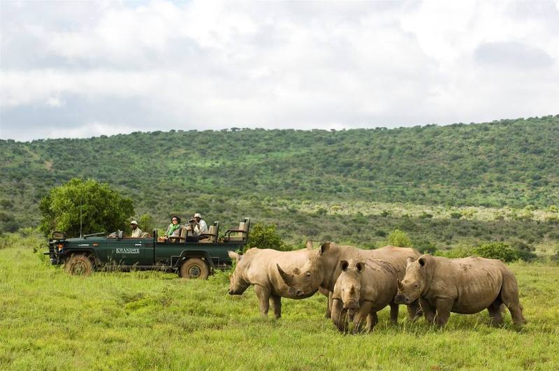 Kwandwe Private Game Reserve - Great Fish River Lodge Грейамстаун Экстерьер фото