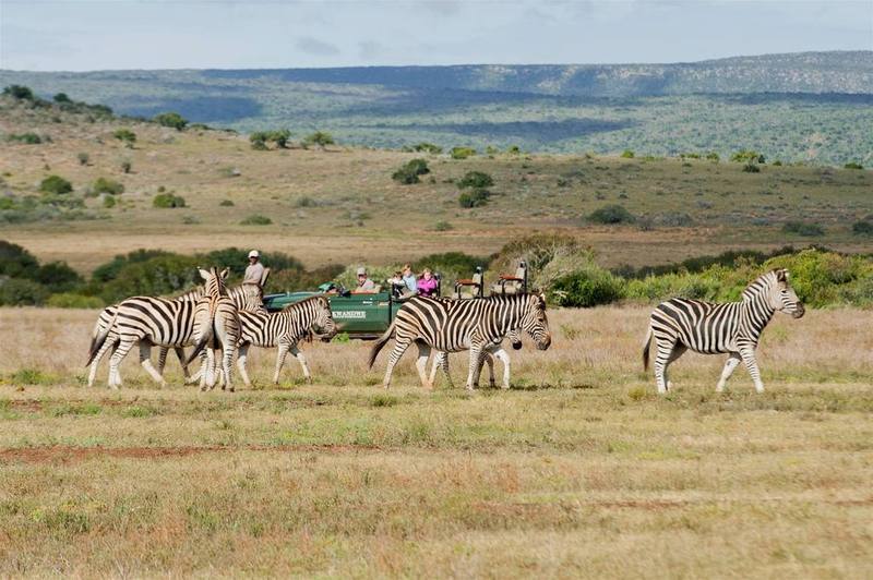 Kwandwe Private Game Reserve - Great Fish River Lodge Грейамстаун Экстерьер фото
