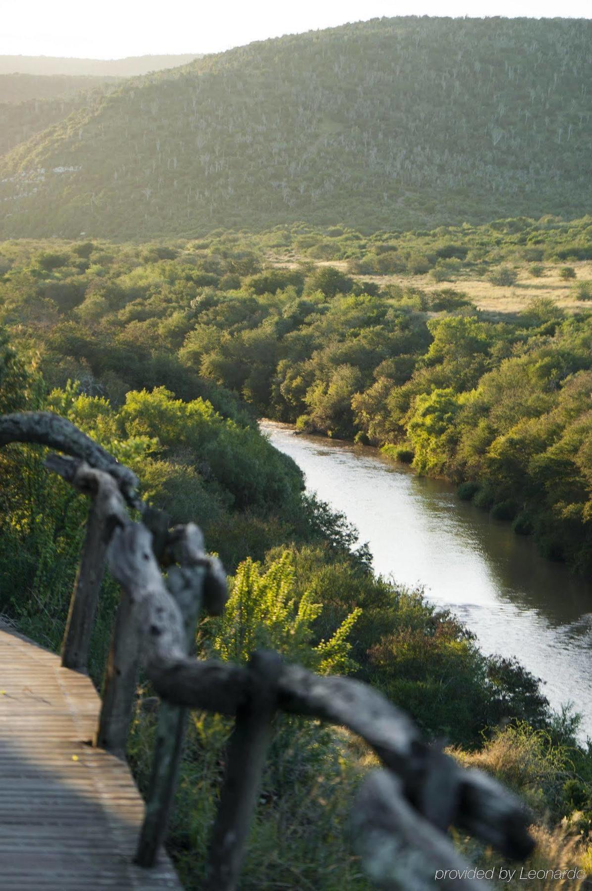 Kwandwe Private Game Reserve - Great Fish River Lodge Грейамстаун Экстерьер фото